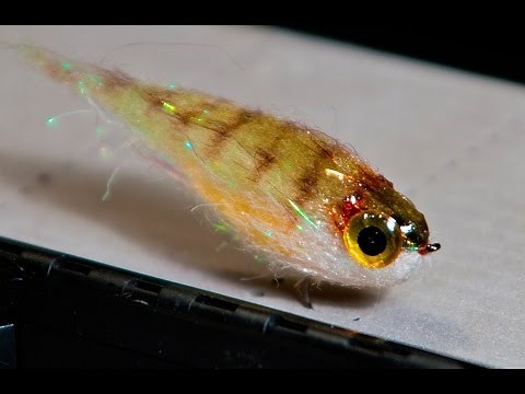 Fat Head Squishy Streamer - UNDERWATER Footage! - Perch streamer fly pattern