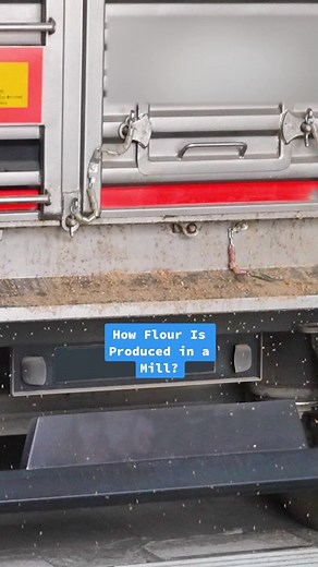 How Wheat is Processed into Flour: A Detailed Overview
