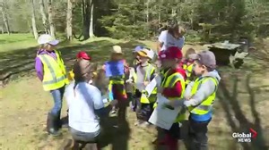 Land-based learning the focus at forest school