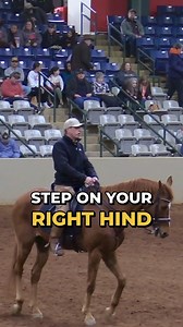 119K views · 1.3K reactions | Jack Curtis presenting: Stepping Them...