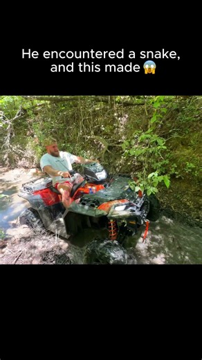 Jake paul find a snake and this happend 😱 #jakepaul #paulfamily #youtube #clips