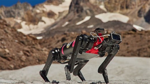 Packs of dog-shaped robots could one day roam the moon — if they can find their footing on Earth first