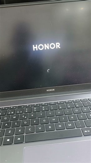 touchpad en honor no funciona en Windows pero si en la BIOS...por qué?