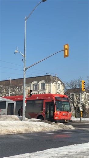 MiWay Transit 2/17/2026 #automobile #bus
