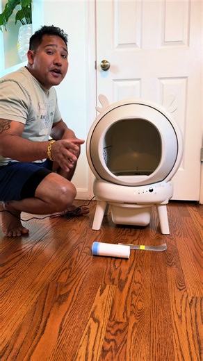 Automatic Self-Cleaning Cat Litter Box