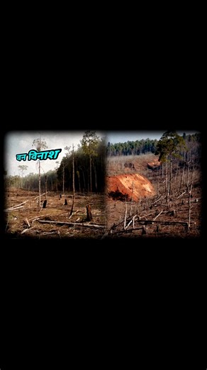 #Deforestation #Tree_cutting #Habitat_destruction #Climate_change #Carbon_emissions #Global_warming