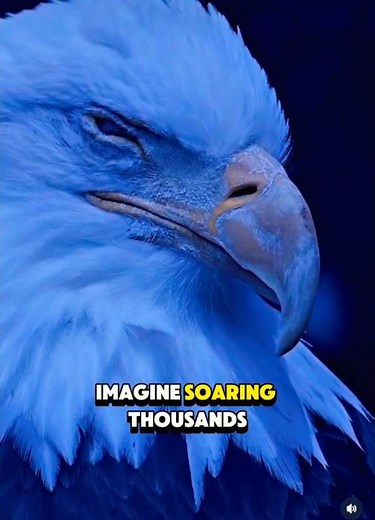 WORLD’S Most Majestic Eagle Hunt 🦅 4K UHD Wild Footage 🔥