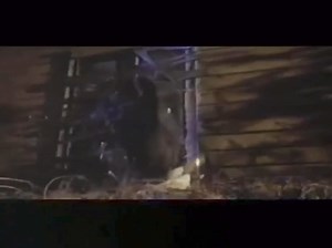 100K views · 3.5K reactions | On July 12, 2002 “Halloween:...