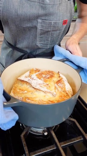 Shereen Pavlides on Instagram: "Video posts Tomorrow, Sept. 26th 9am EST. This is not a LIVE. Sorry for the confusion. . . . #artisanbread #bread #fromscratch #foodies #cookingwithshereen"