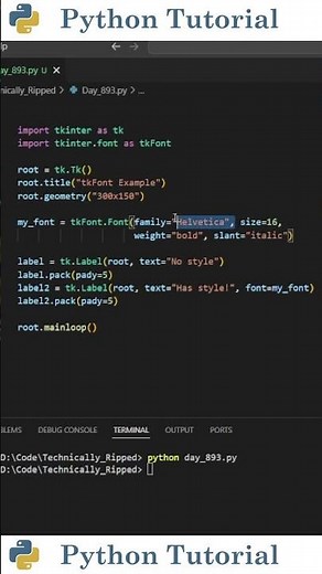 Changing The Font in Tkinter | Python Tutorial