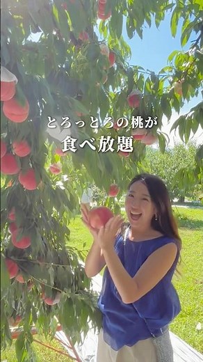 【山梨】1,500円で桃食べ放題🍑 とろとろでめっちゃ美味しかった😆 #桃狩り #山梨観光 #ぶどう狩り