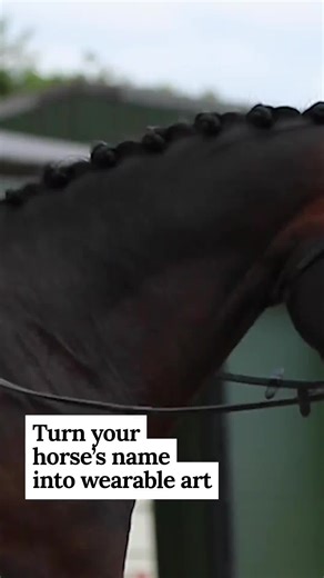 Embroidery for Your Horse: Personalised Designs