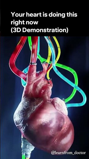 Inside a Beating Human Heart (3D Animation)