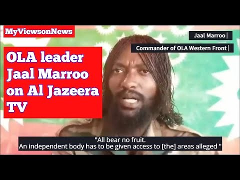 Oromia Ethiopia: OLA leader Jaal Marroo appears on Al Jazeera TV