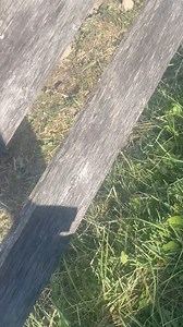 472K views · 2.2K reactions | No one was hurt, and the horse is okay. It was perfectly fine afterward. With a request from one of our fans @ maddieroxy.eq Make sure to follow us @horsesvideosfails for more fails No hate tolerated!! #horselovers #horsefails #horsefail #horseridingfail #horseridingfails #horses #horseofinstagram #jumping #horsejumping | HorseLovers Fails | Facebook