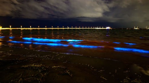 Bioluminescent algae are bathing this Australian beach in an electric blue ‘ethereal glow’