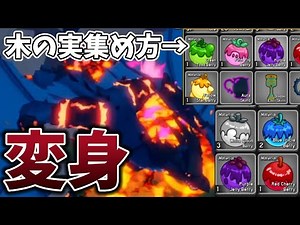 【ブロフル】ドラゴンの色を変えたい!!木の実の集め方解説!!#ブロックスフルーツ #ブロフル #roblox #bloxfruts