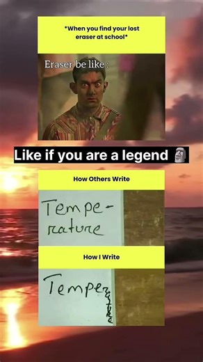 today's memes #funny #lol #meme #funnymemes #fypシ #fyp