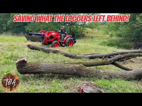 Logging Leftovers‼️ Is It Worth It? # firewood #kioti