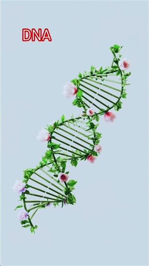 “DNA Explained Simply | Science Short Video”