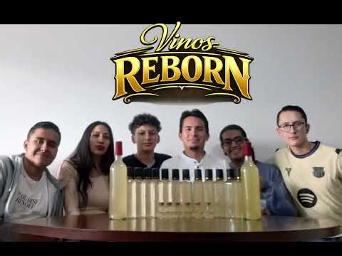 Emprendimiento Reborn Elevator Pitch