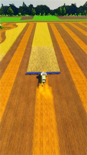 Satisfying harvesting #farmingsimulator25 #farmingsimulator #farmingsimulator19