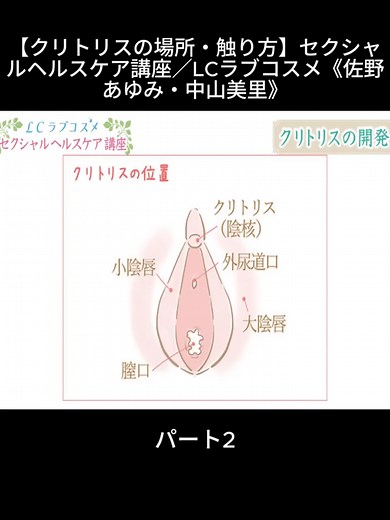 クリトリスの場所と触り方を学ぼう