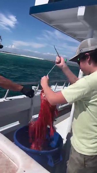 Unloading some beautiful Vermillion Snappers!!! #fishing #florida #snapper #snapperfishing #fishon #unboxingvideo #unboxing | American Spirit Party Boat