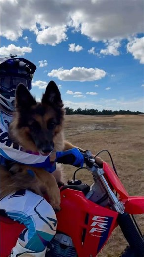 Taking Luna The Doggo For a Ride On The CRF300F