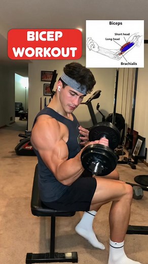 3.9K views · 77 reactions | DB only bicep workout (hit every area) #bicepsworkout #armday #fitnesstips #biceps #arms | Inkeed | Facebook