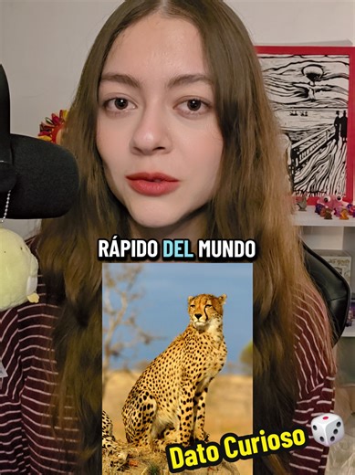 Sígueme para ver los videos de ASMR completos ❤️ Youtube: Vi ASMR . . #asmryoutube #asmrvideo #asmrespañol #asmrtiktok #asmr