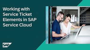 Working with Service Ticket Elements in SAP Service Cloud