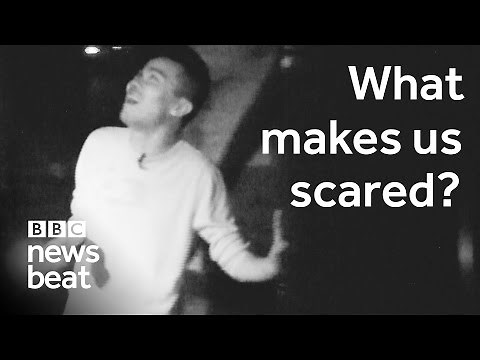 What makes us scared? | BBC Newsbeat