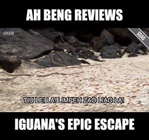 This is one EPIC Singaporean commentary on the Iguana vs Snake battle!!! SO GLAD YOU MADE IT AH ZUA!!! | SGAG