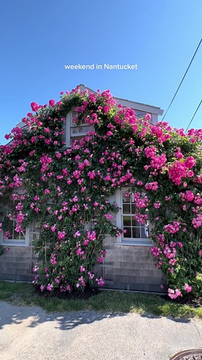 millie is a paid actor #nantucket