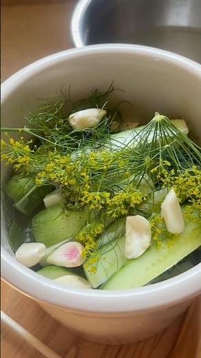 How we make naturally fermented dill pickles! #growyourownfood #gardenharvest #fermentation