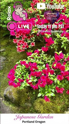 Cosmic Euphony- Japanese Garden LIVE Waterfalls Peaceful Zen Deep Sleep Relaxation Music Meditation