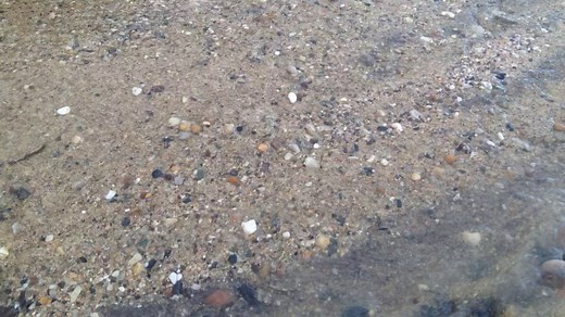 Transportation of sediment in a river