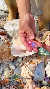 Look at these vibrant gems, found right by this magnificent "Conch" shell! The colors are absolutely captivating, almost like "Okinawa sea glass" or polished natural stones. What an amazing find! #ConchShell #ColorfulGems #BeachTreasures #NatureFinds #OkinawaSeaGlass | SocialSphere Central
