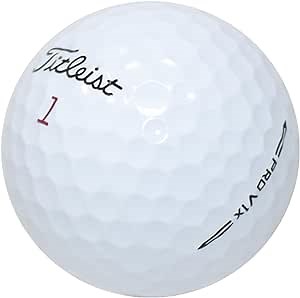 LostGolfBalls - 500 Titleist Pro V1x Golf Balls in Mint Condition, 2023 Year Model, No Logos, No Player Markings, Refinished Used Golf Balls, Quality Guaranteed, Bulk, White