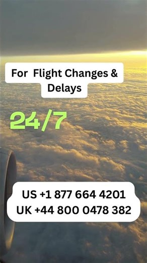 What Should I Do If My Avianca Airlines Flight Is Changed or Delayed?