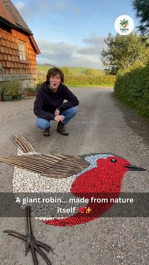 Nature-Made Robin Art 🐦🍃 #NatureArt #GroundMosaic #CreativeKids #OutdoorCrafts #WholesomeMoments | Tasty Spritz