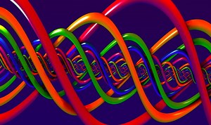 The Inactive X is Shown to be Active Behind the Scenes | Genetics And Genomics