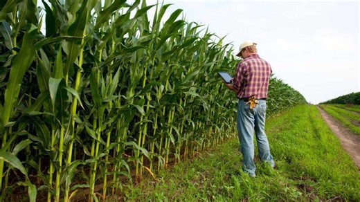 “Share the land”: Expropriation reform fears surfaced after farmer’s comments