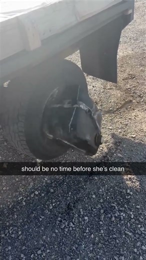 The best way to clean a Snowmobile tank 🤣😅