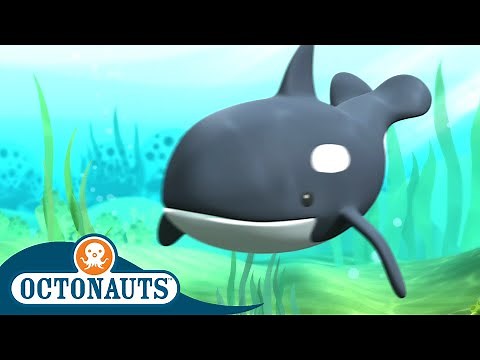 Octonauts - The Orca Whale Rescue | Full Episode 3 | Cartoons for Kids | Underwater Sea Education