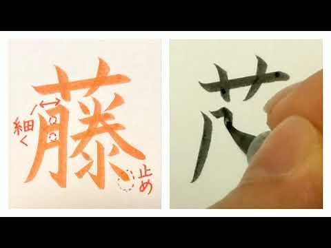 藤(ふじ - fuji - wisteria)の書き方