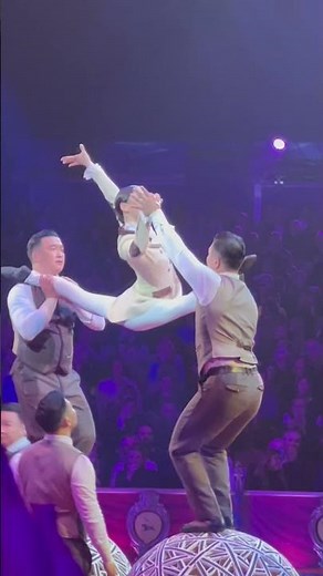 Acrobatic lovers #circus #shorts #short