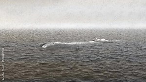 Danger warning and danger signal in black and white with interference. Broadcasting the apocalypse on television. A post-apocalyptic atmosphere. The animation is perfect for apocalyptic backgrounds.