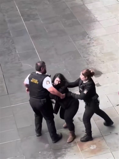 Exploring Polynesian Cultures Through Humor